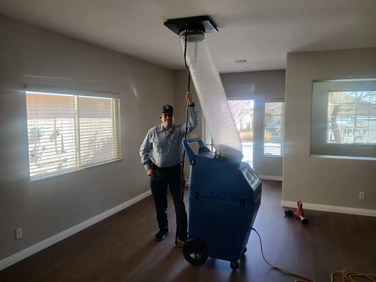 Professional Dryer Vent Cleaning work inside a Romulus home